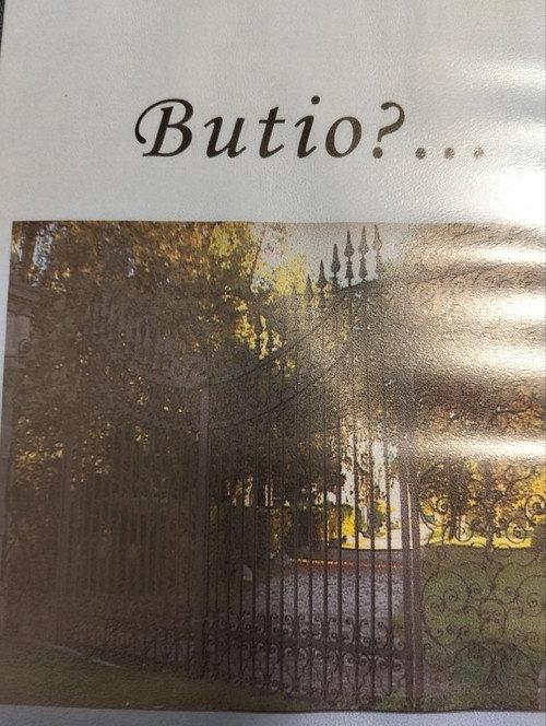 Butio?... 2001 official movie poster