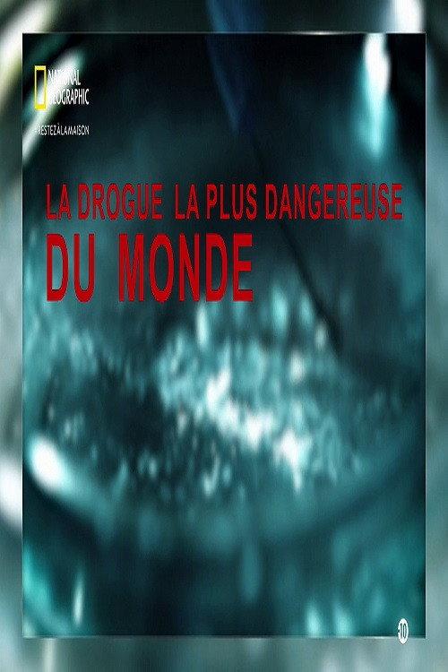 Worlds Most Dangerous Drug 2006 official movie poster
