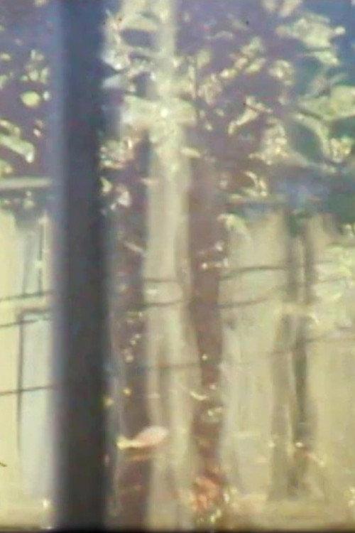 Windchimes, Window, Tree 1976 official movie poster