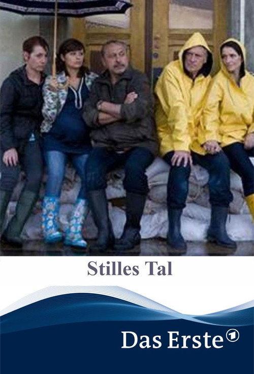 Stilles Tal 2011 official movie poster