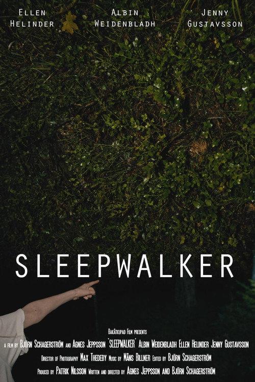 Sleepwalker 2019 official movie poster