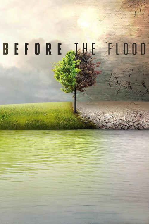 Before the Flood 2016 official movie poster
