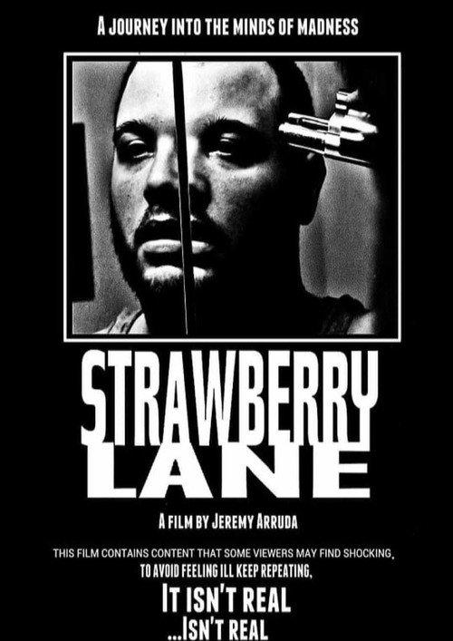 Strawberry Lane 2019 official movie poster