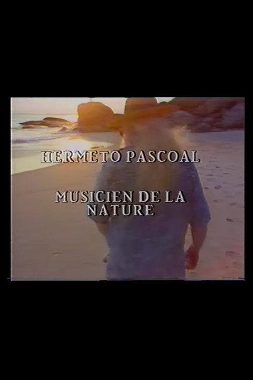 Hermeto Pascoal - Musicien de la Nature 1990 official movie poster