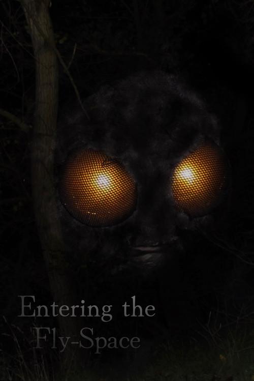 Entering the Fly-Space 2026 official movie poster