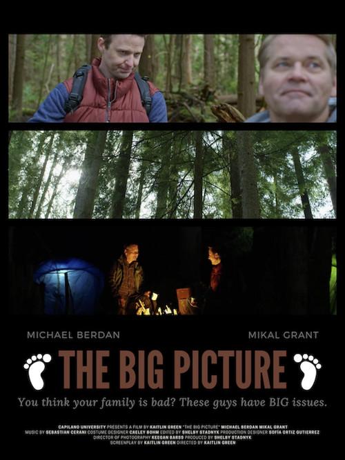 The Big Picture 2021 official movie poster