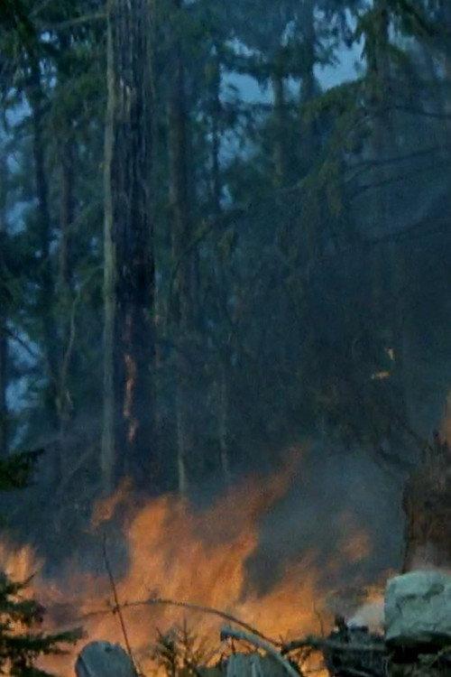 Small Smoke at Blaze Creek 1971 official movie poster