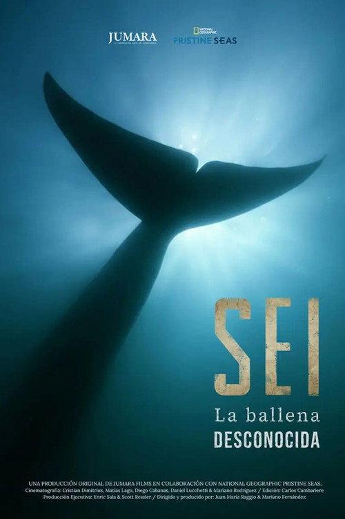 Sei La Ballena Desconocida 2025 official movie poster