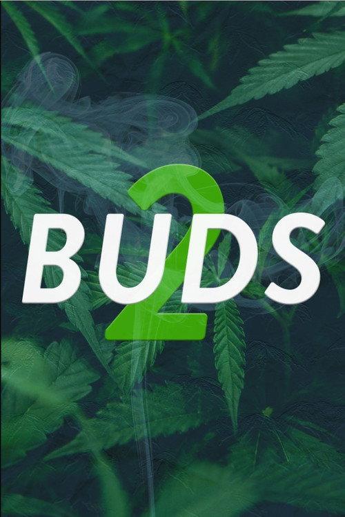 Buds 2 2014 official movie poster