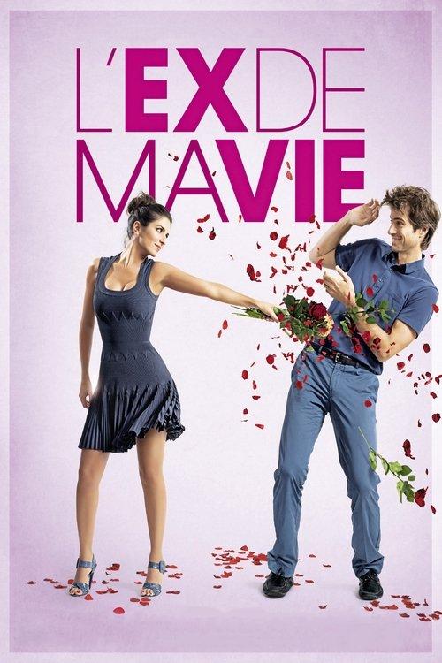 Divorce French Style 2014 official movie poster