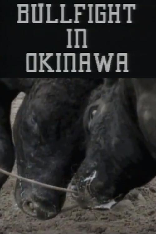Bullfight in Okinawa 1994 official movie poster