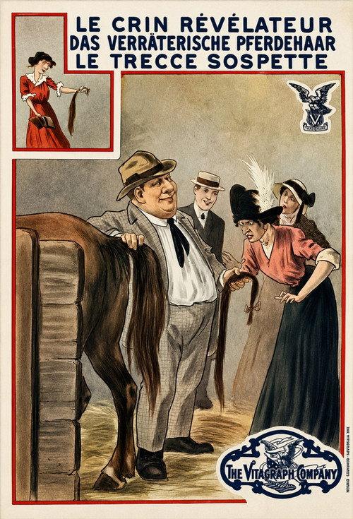 Those Troublesome Tresses 1913 official movie poster