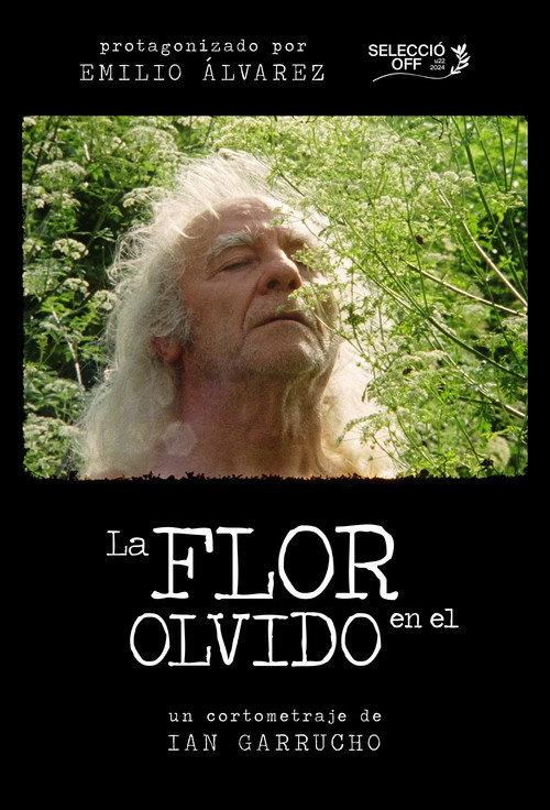 Flower in Oblivion 2024 official movie poster