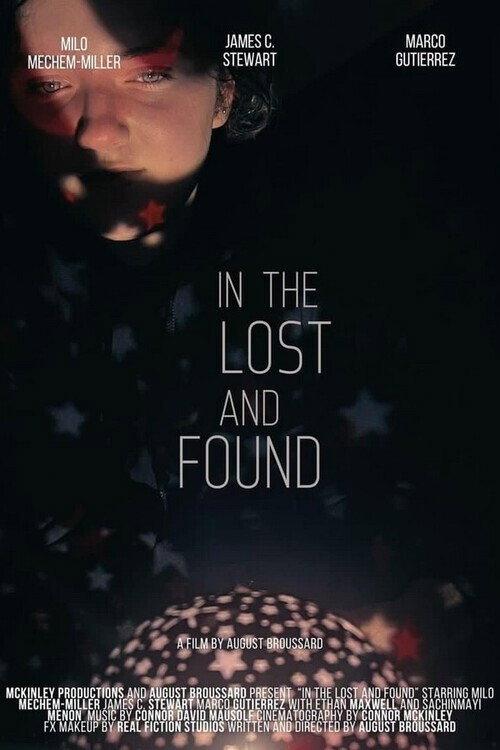 In the Lost and Found 2024 official movie poster