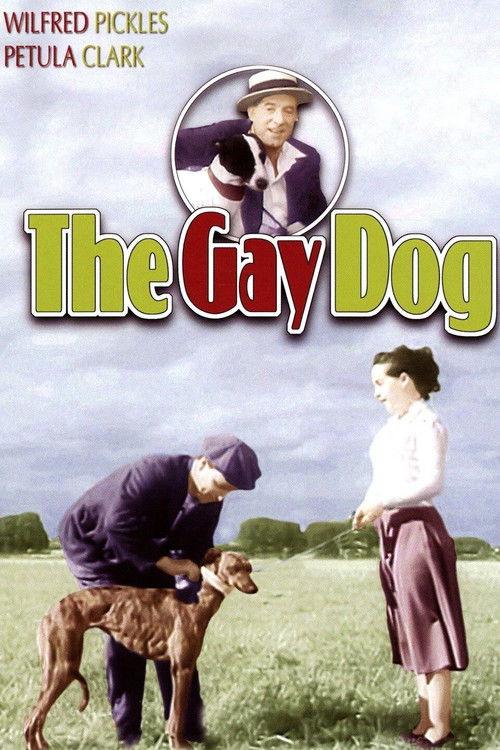 The Gay Dog 1954 official movie poster