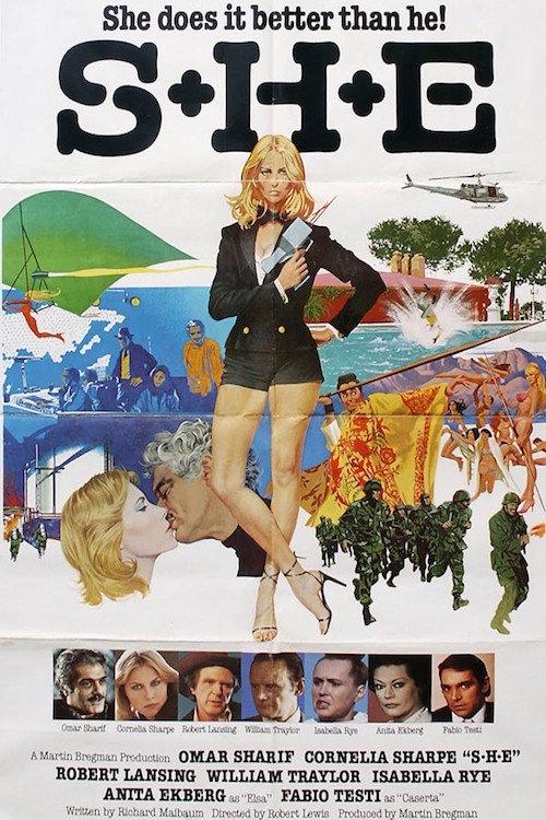 S+H+E: Security Hazards Expert 1980 official movie poster