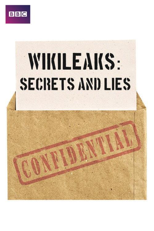 Wikileaks: Secrets and Lies 2012 official movie poster