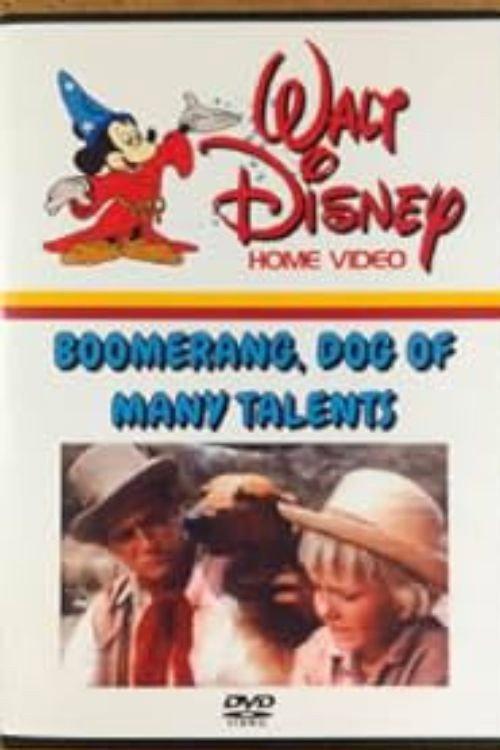 Boomerang, Dog of Many Talents 1968 official movie poster
