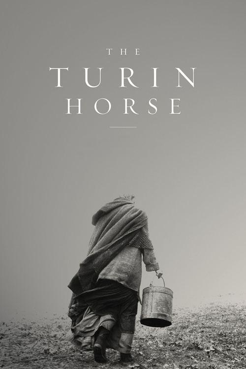 The Turin Horse 2011 official movie poster
