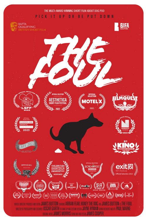 The Foul 2021 official movie poster