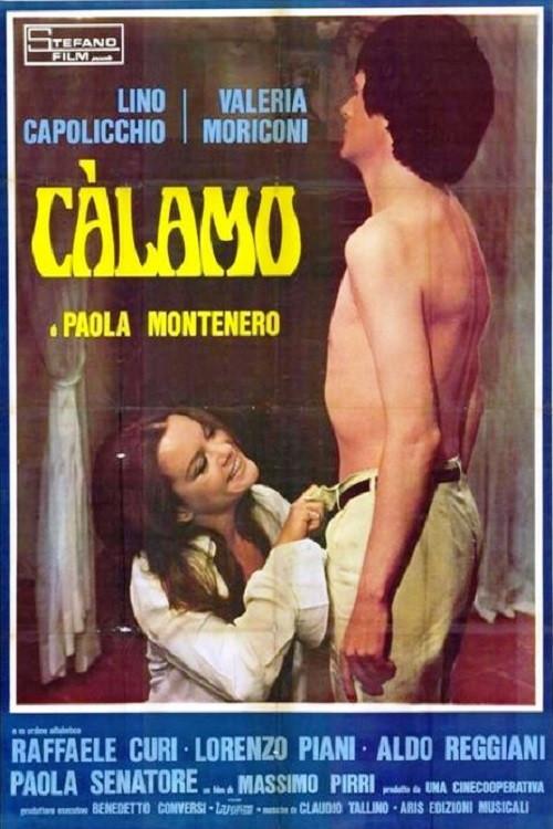 Calamus 1976 official movie poster