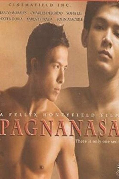 Pagnanasa 2010 official movie poster