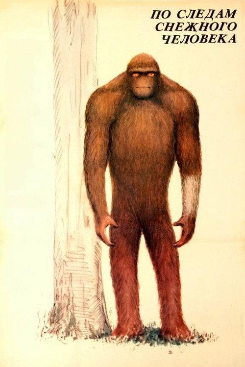 In the Footsteps of Bigfoot 1988 official movie poster