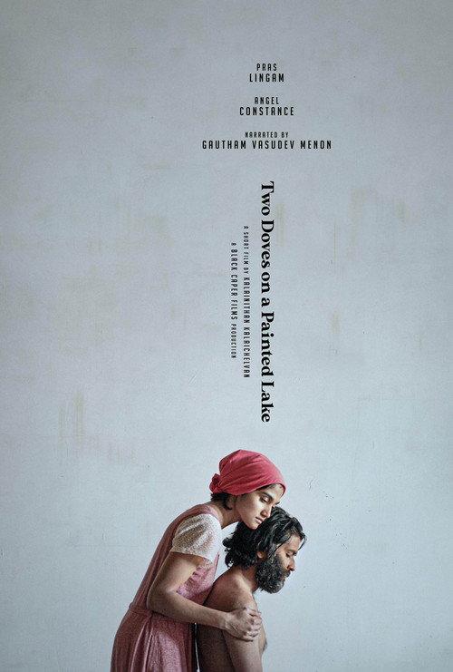 Two Doves on a Painted Lake 2020 official movie poster