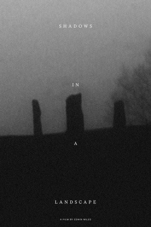 Shadows in a Landscape 2020 official movie poster