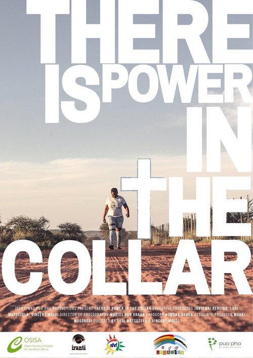 There Is Power in the Collar 2021 official movie poster