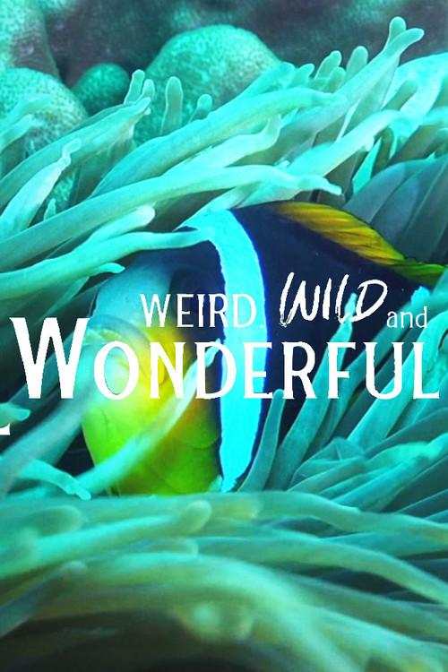 Weird, Wild, and Wonderful 2023 official movie poster