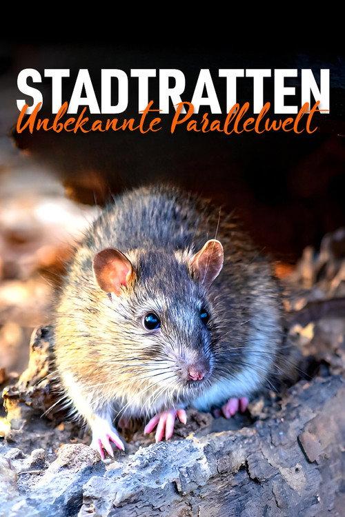 Stadtratten - Unbekannte Parallelwelt 2023 official movie poster