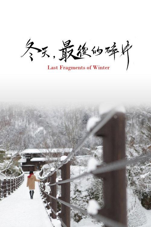 Last Fragments of Winter 2011 official movie poster