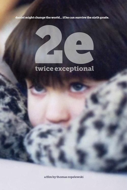 2e: Twice Exceptional 2015 official movie poster