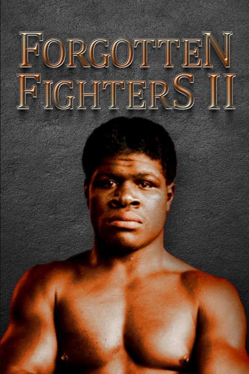 Forgotten Fighters II 2022 official movie poster