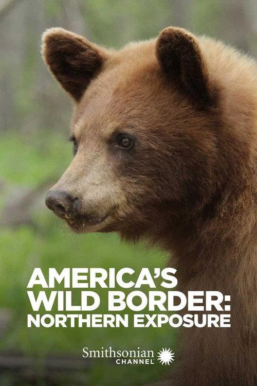 America's Wild Border: Northern Exposure 2020 official movie poster