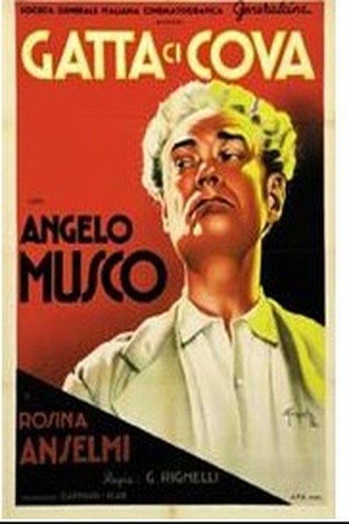 Gatta ci cova 1937 official movie poster