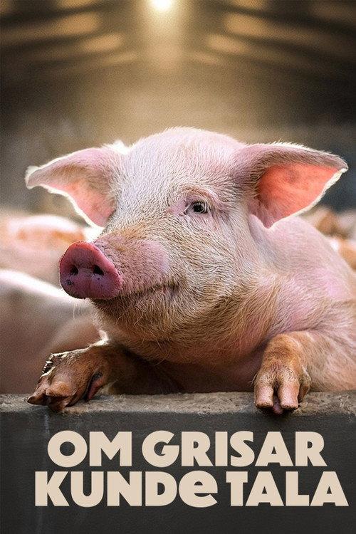 If Pigs Could Talk 2024 official movie poster