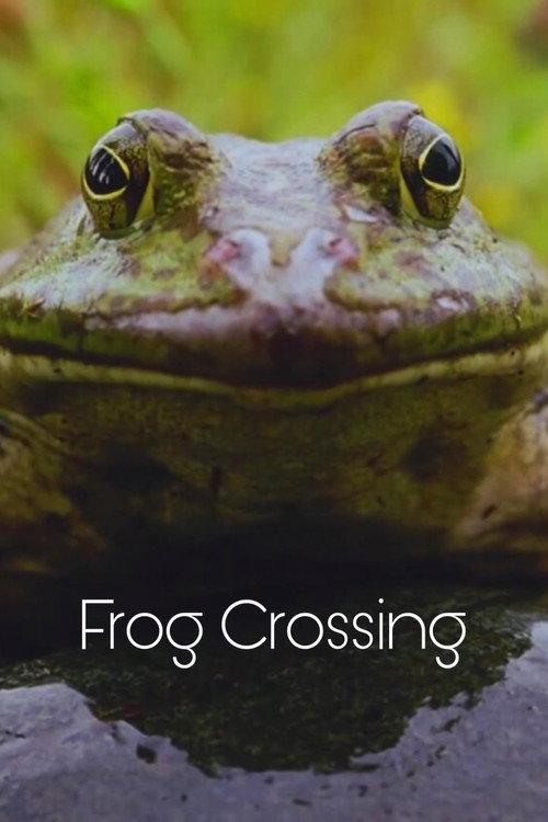 Frog Crossing 1996 official movie poster
