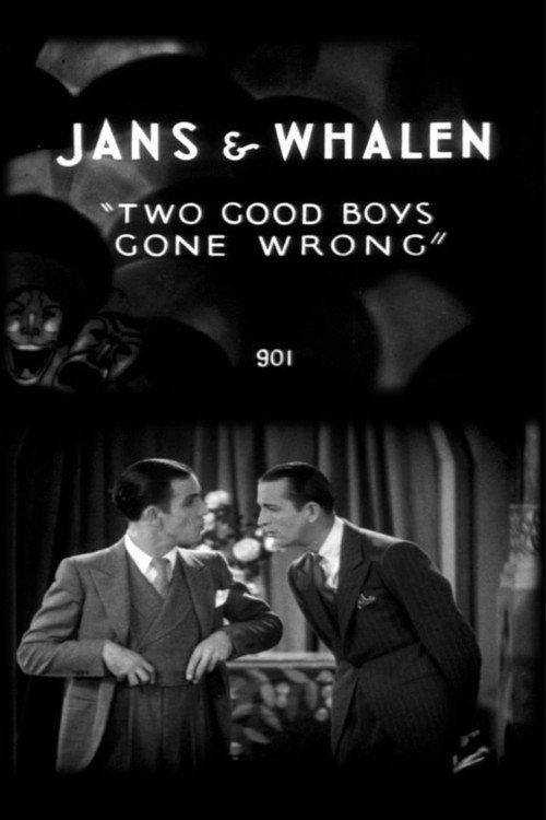Two Good Boys Gone Wrong 1929 official movie poster