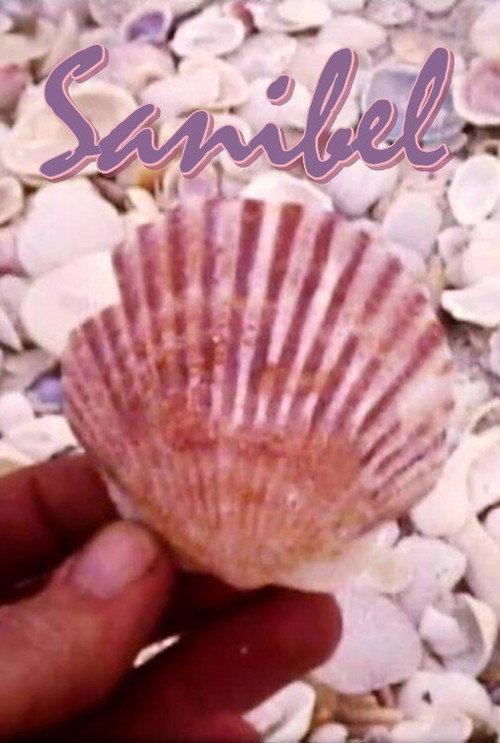 Sanibel 1978 official movie poster