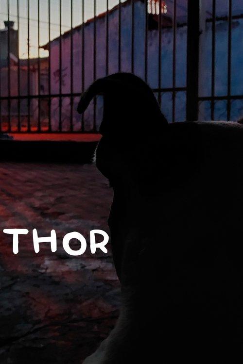 Thor 2024 official movie poster