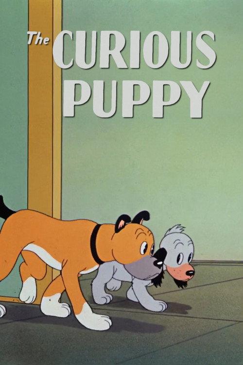 The Curious Puppy 1939 official movie poster