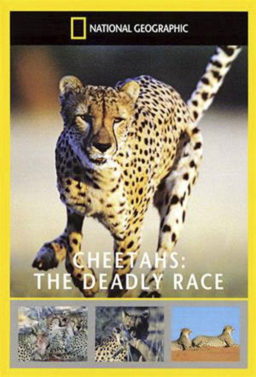 Cheetahs: The Deadly Race 2002 official movie poster