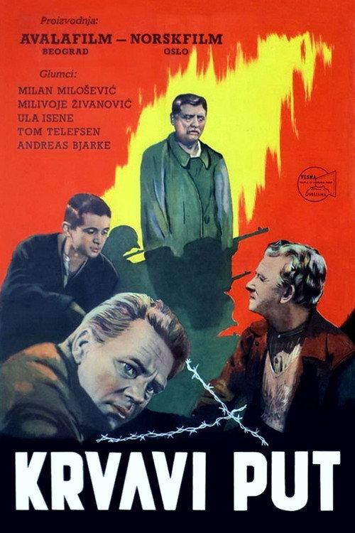 The Blood Road 1955 official movie poster