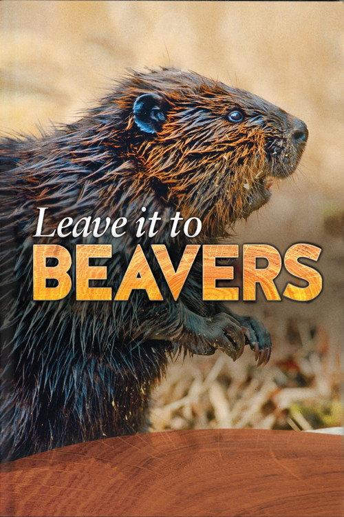 Leave it to Beavers 2014 official movie poster