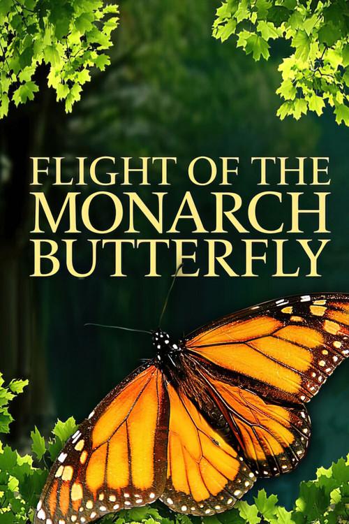 Flight of the Monarch Butterfly 2012 official movie poster