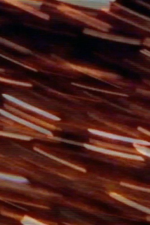 Ritual by Rote 2001 official movie poster
