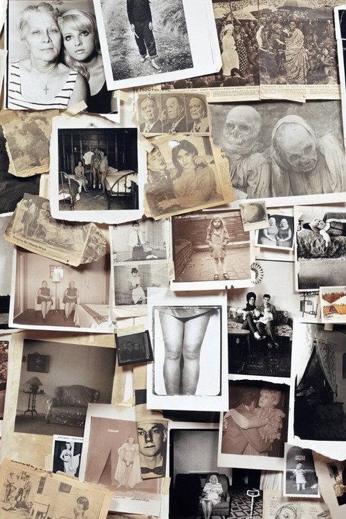 A Slide Show and Talk by Diane Arbus 2005 official movie poster