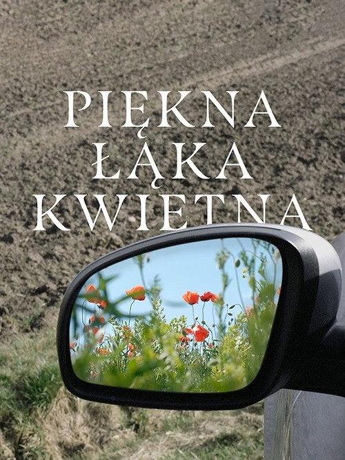A Beautiful Wildflower Meadow 2022 official movie poster